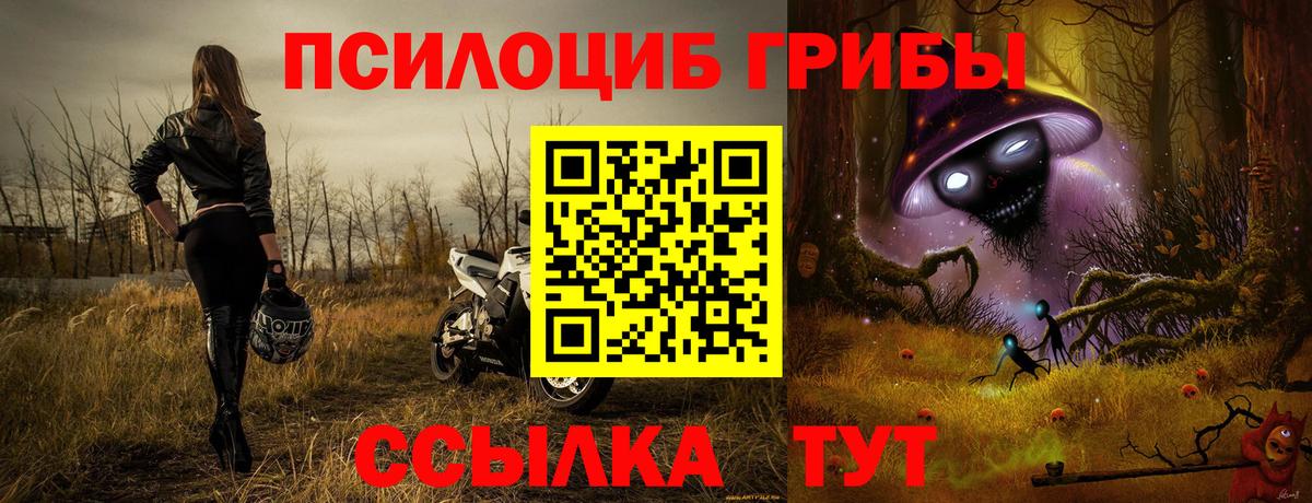 Псилоцибиновые грибы Cubensis  цена   Вятские Поляны  Вход с VPN 