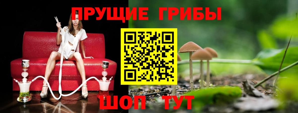 Псилоцибиновые грибы Magic Shrooms Вятские Поляны